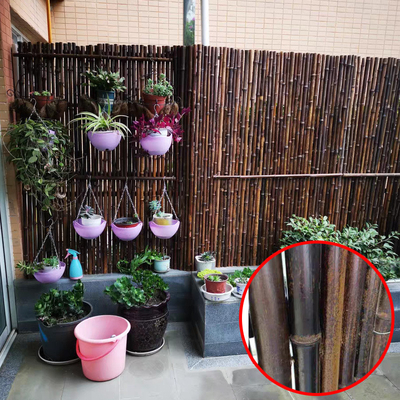 격자 발코니 뒤뜰 장식적 대나무 울타리를 방어하는 150x180cm 대나무 명부
