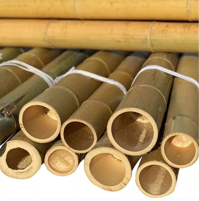 맞춤형 크기 순수 자연 모소 건조 Bambu Pole Solid Moso Bambu Pole 공사 또는 장식용